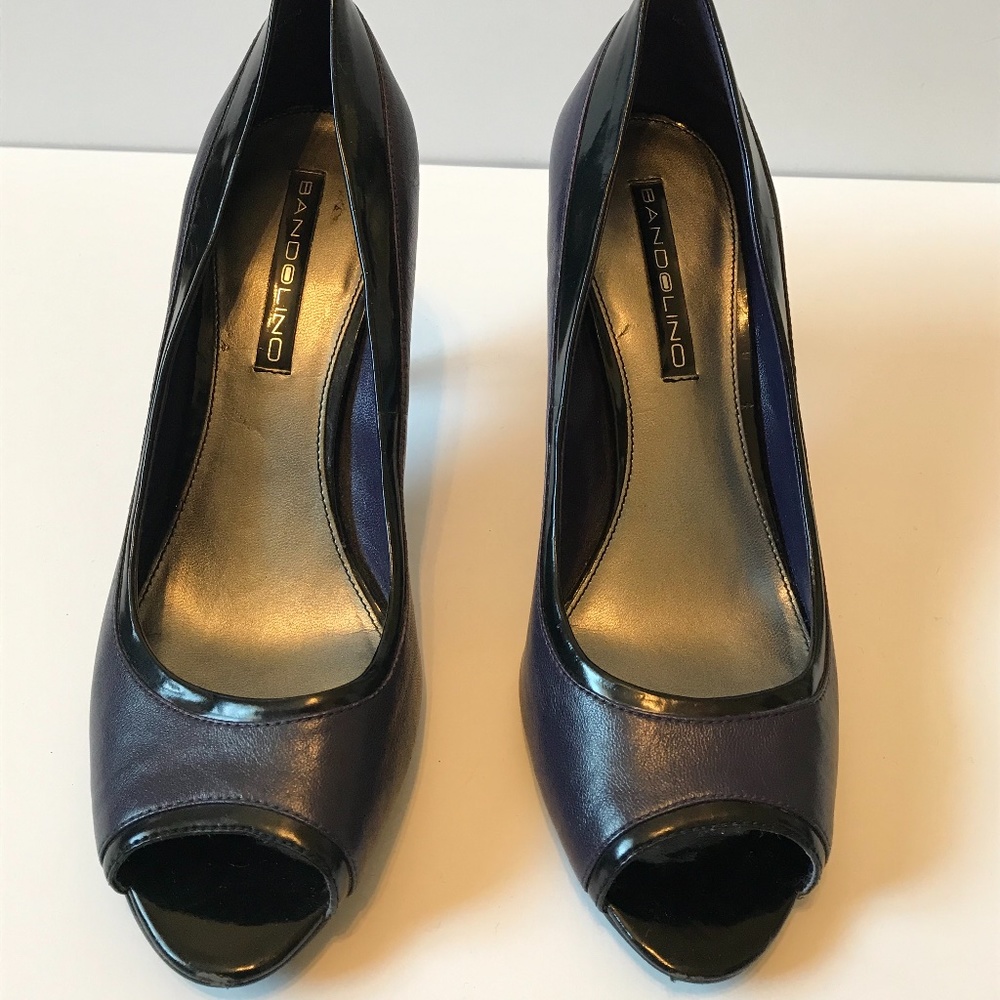 Purple/Black Heels
